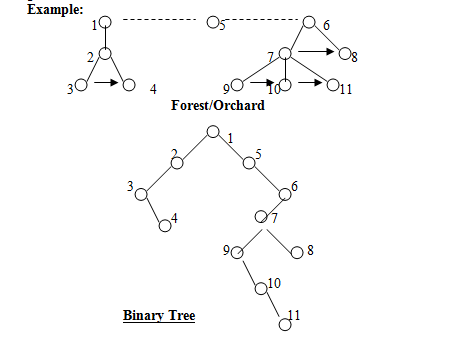 Almost complete binary tree